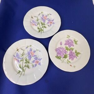Sonoma Home Goods Floral Bouquet Plates Set of 3 Purple Flowers Bee Ladybug 8in
